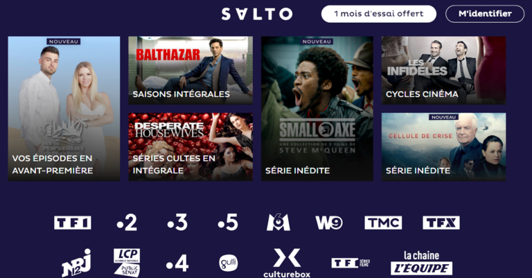 The user interface for SALTO.